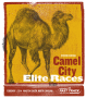 Camel City Indoor Mile