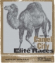Camel City Elite Mile